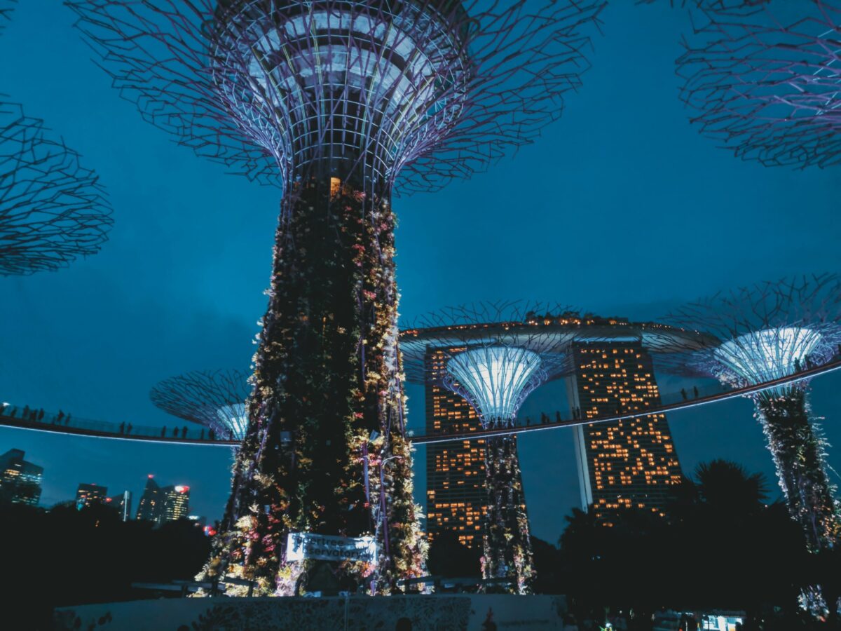 AI Meets Sustainability